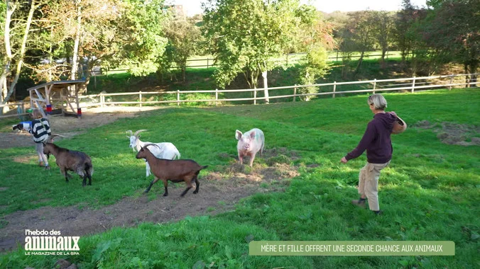 La Grisoutière à la télé — L'Hebdo des Animaux sur RMC Life